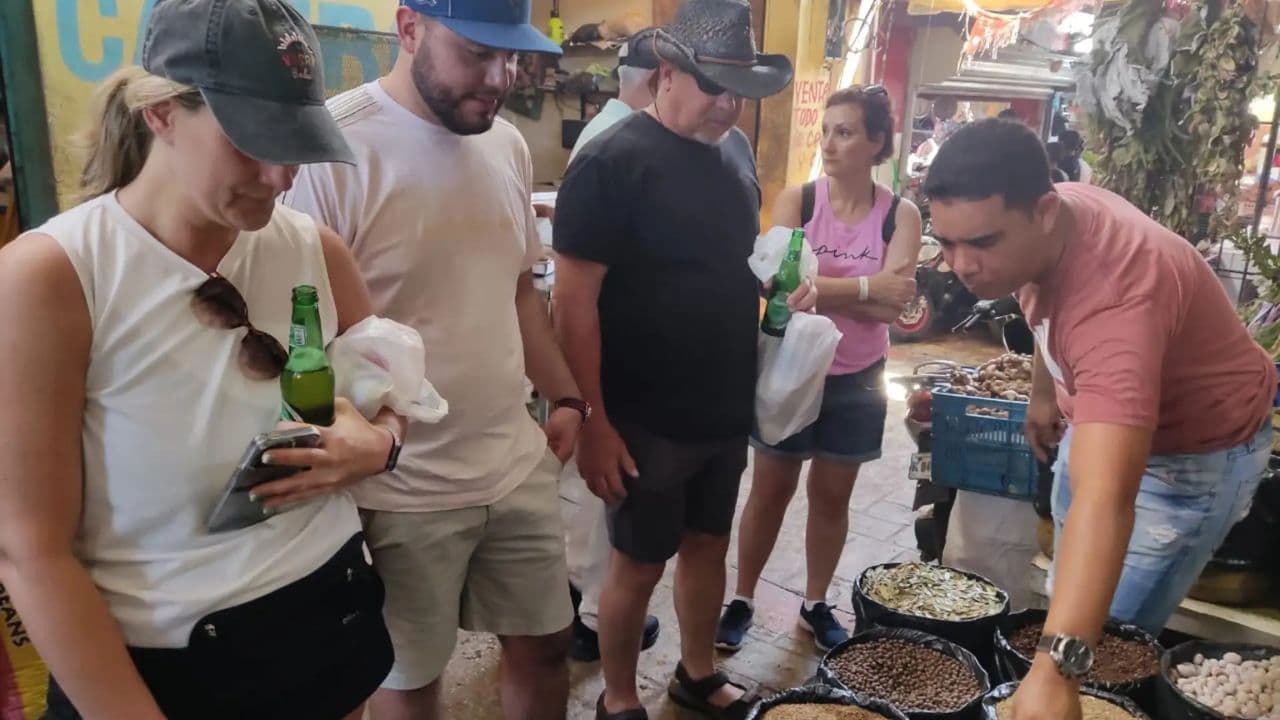 Von Punta Cana: Halbtägige Kulturreise durch die Dominikanische Republik — Guided tour and outdoor activity