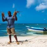 Insel Saona – Ganztägige offene Bar, Mittagessen und Hin- und Rückfahrt! — Guided tour and outdoor activity