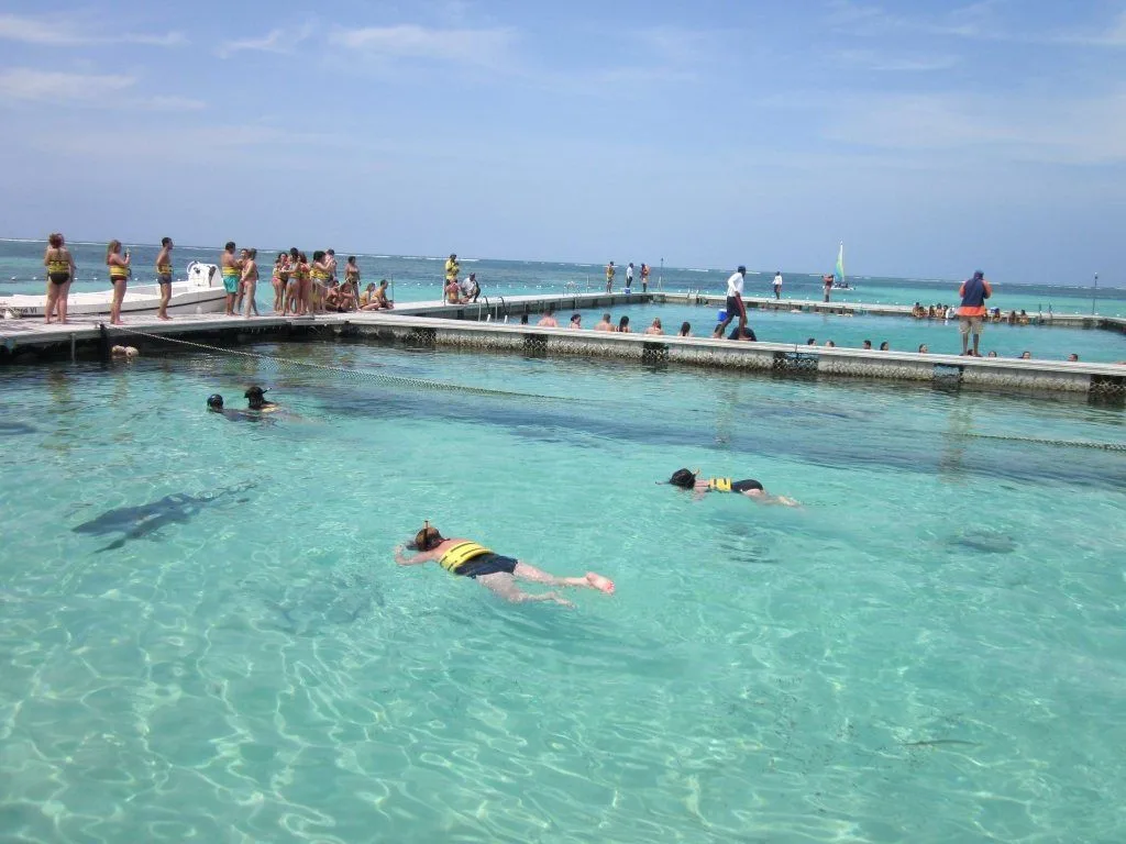 Four Adventures: Parasailing, Snorkeling Cruise, Sharks & Rays in Natural Pools from Punta Cana - Image 17