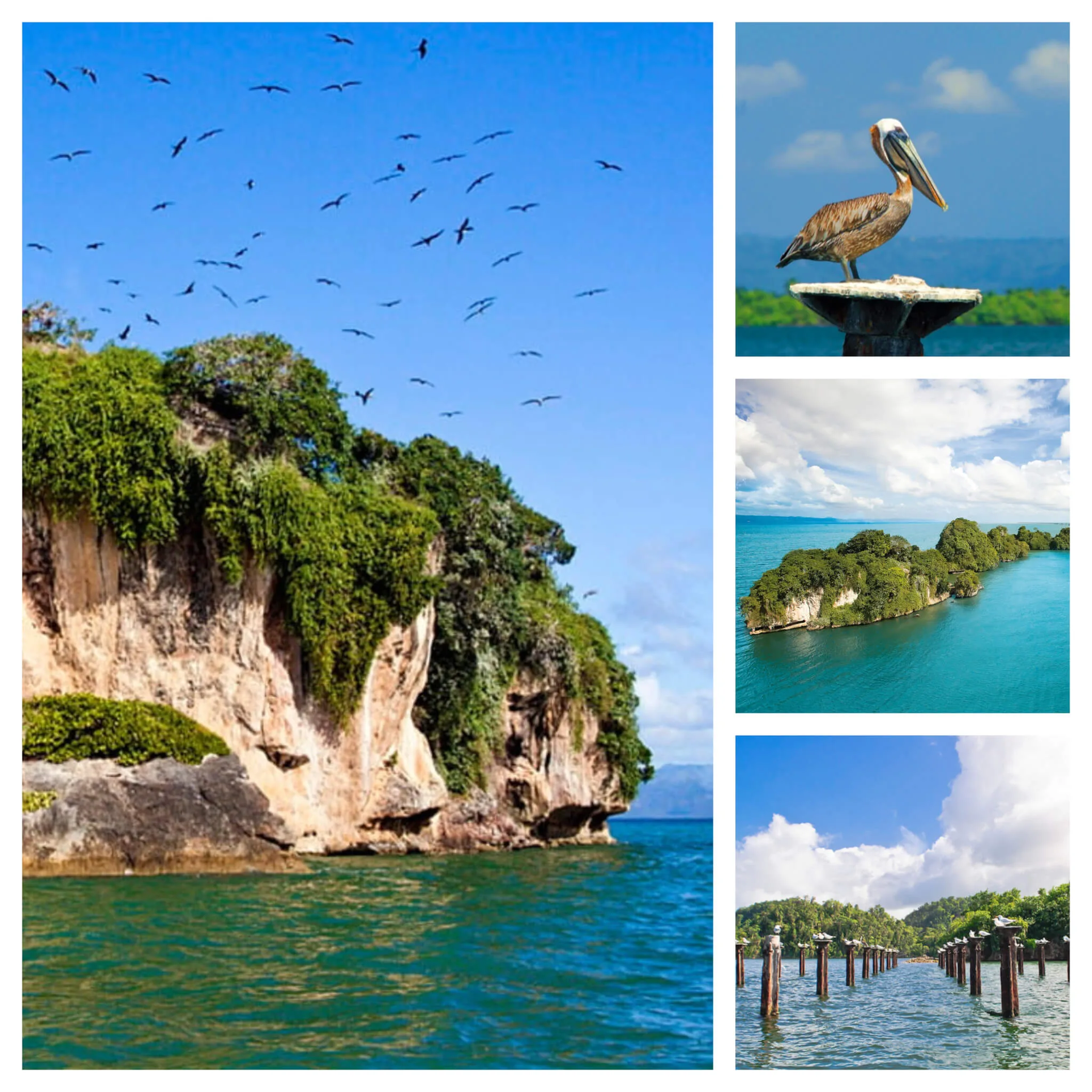 Excursión a Los Haitises y Cayo Levantado desde Samaná - تصویر 3