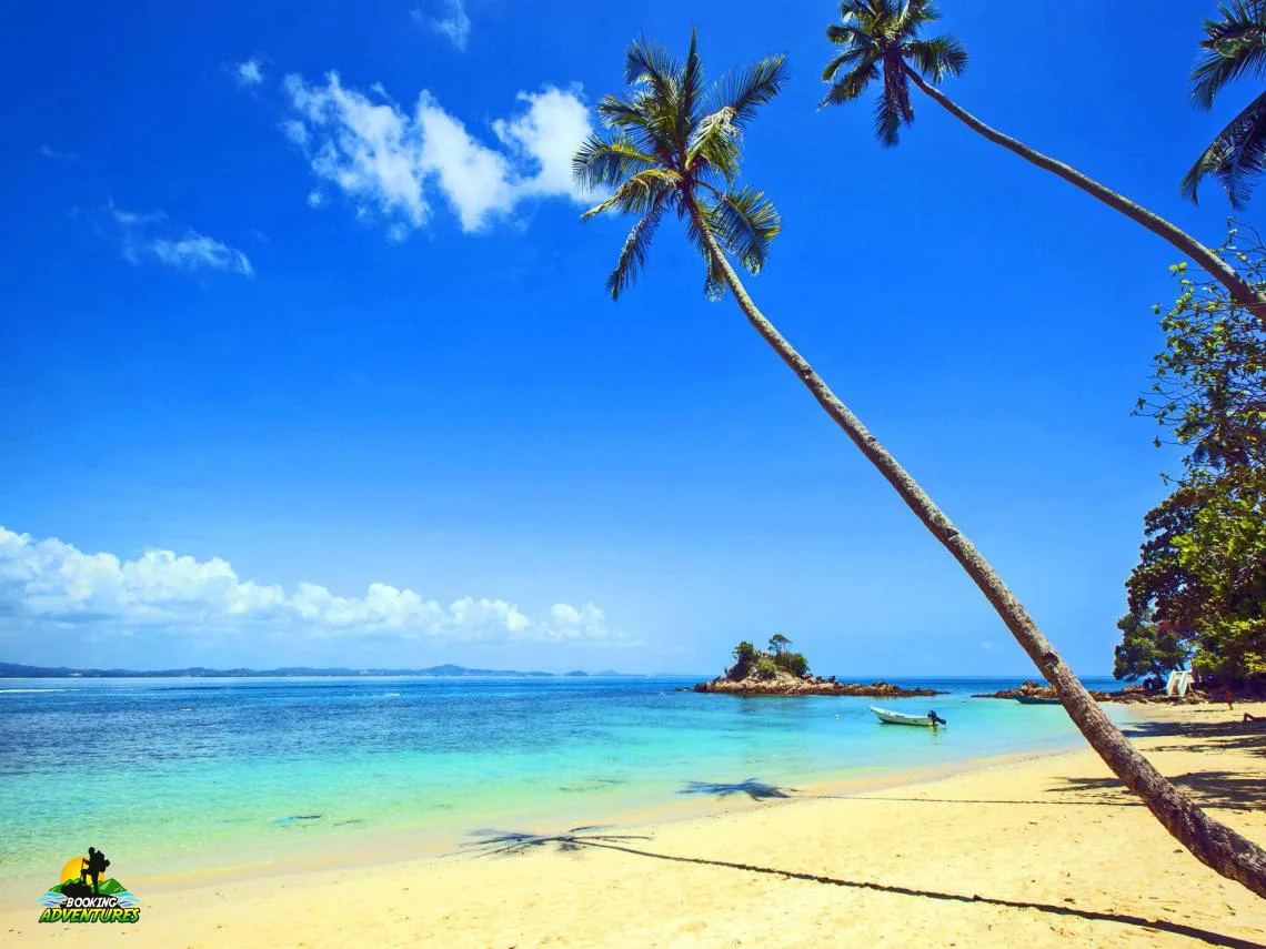 Saona Island Tour from Bayahibe - Natural Pool Excursion - Image 14