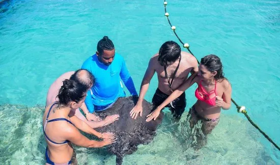 Four Adventures: Parasailing, Snorkeling Cruise, Sharks & Rays in Natural Pools from Punta Cana - Image 15