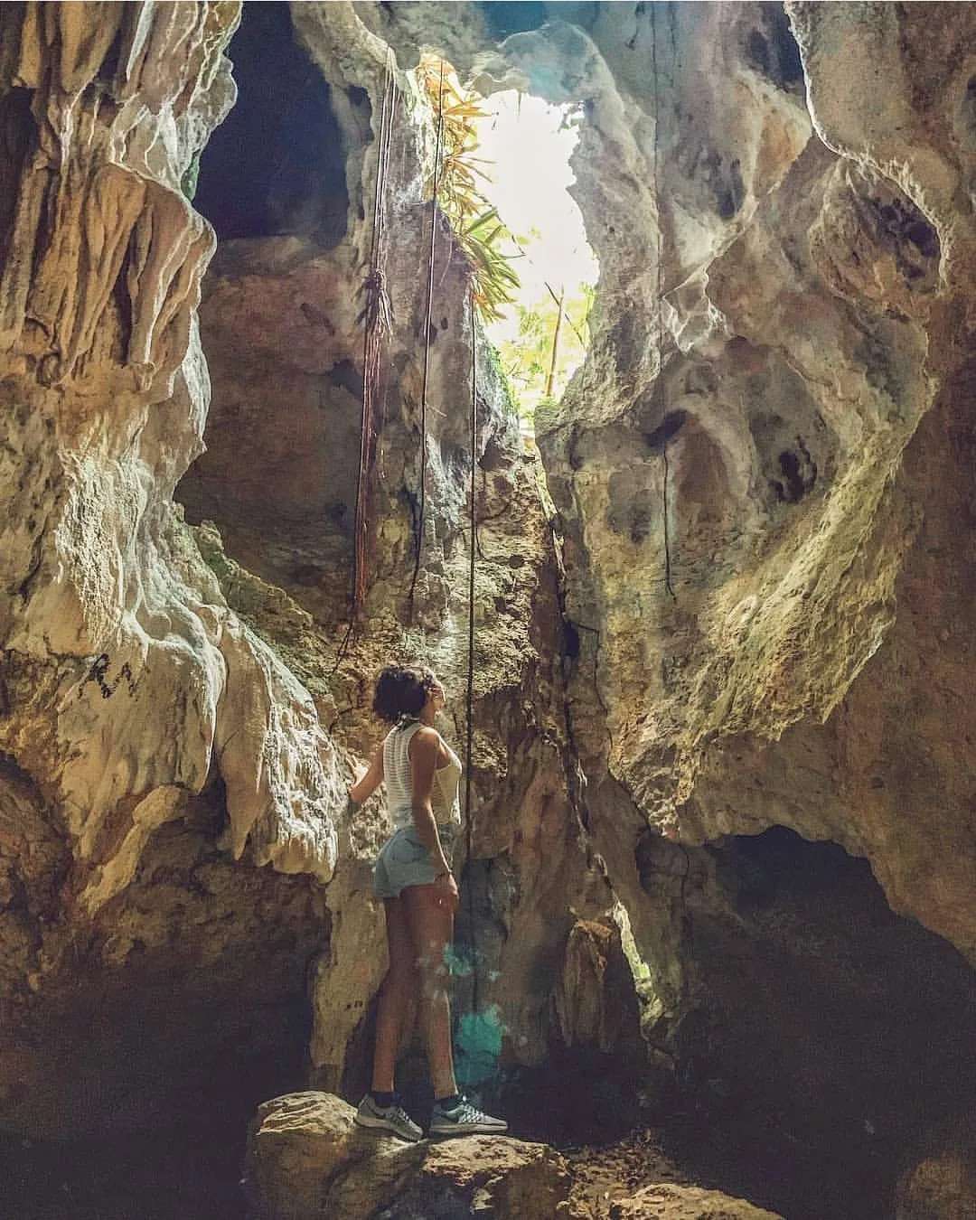 Excursion a Los Haitises Montaña Redonda & Caño Hondo - تصویر 16