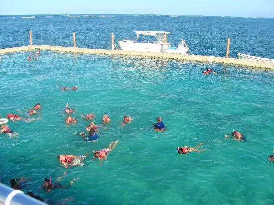Four Adventures: Parasailing, Snorkeling Cruise, Sharks & Rays in Natural Pools from Punta Cana - Image 7
