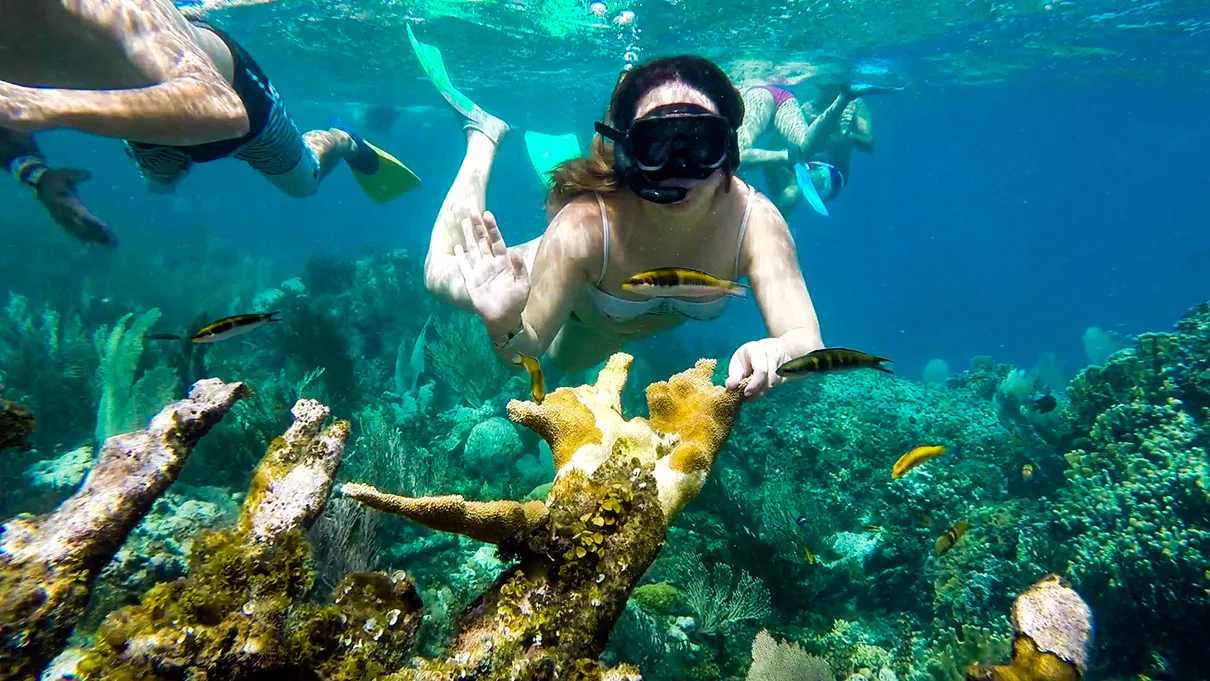 Snorkel Cayo Levantado and Farola island Snorkeling - Image 10