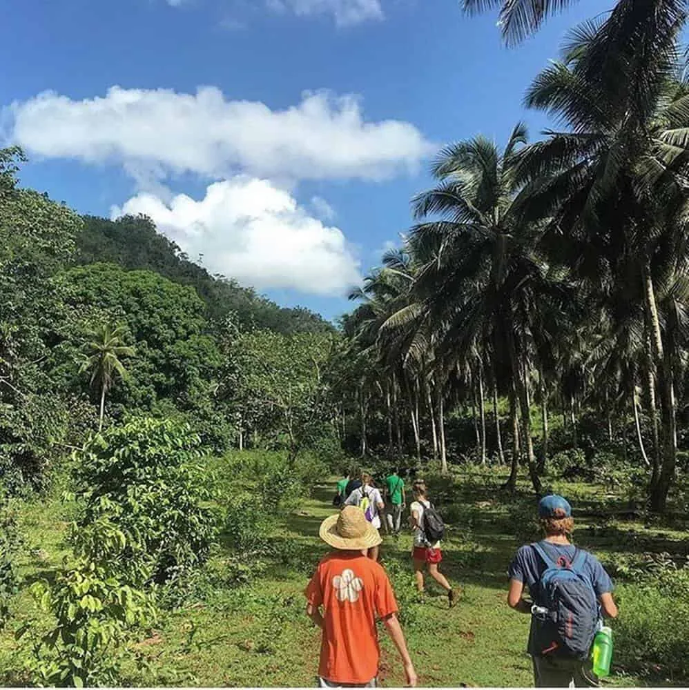 Los Haitises Complete Adventure, Hotel + Hiking +Swimming + Kayaking - immagine 16