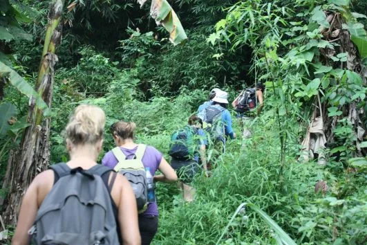 Los Haitises Complete Adventure, Hotel + Hiking +Swimming + Kayaking - immagine 6