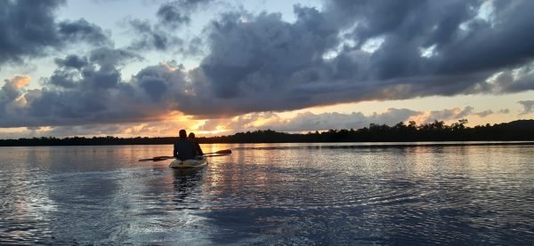 Los Haitises Excursion Kayak Tour in Kayaks los haitises cano hondo 32 scaled 1