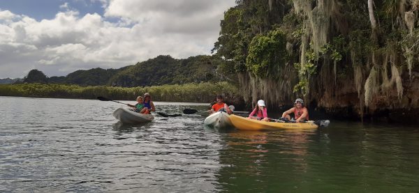 Los Haitises Excursion Kayak Tour in Kayaks los haitises cano hondo 6 scaled 1