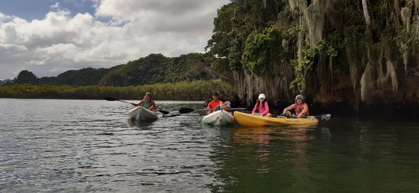 Los Haitises Excursion Kayak Tour in Kayaks los haitises cano hondo 7 scaled 1