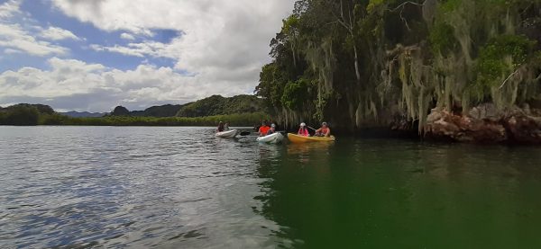 Los Haitises Excursion Kayak Tour in Kayaks los haitises cano hondo 8 scaled 1