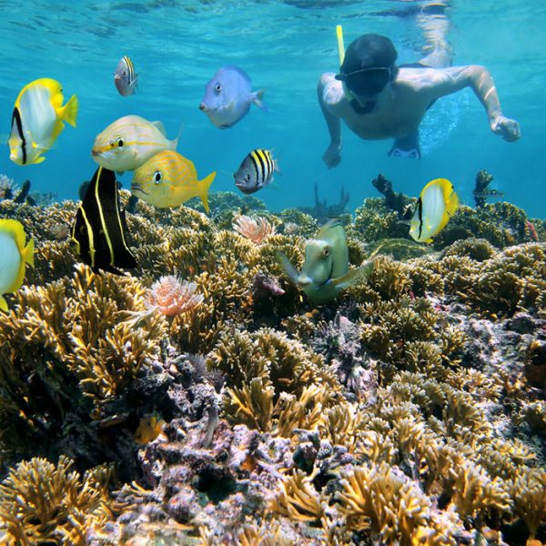 snorkeling dominican republic